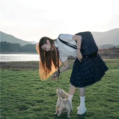 全知读者视角